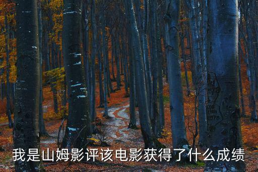 我是山姆影評(píng)該電影獲得了什么成績(jī)