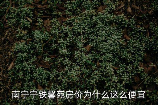 南寧寧鐵馨苑房?jī)r(jià)為什么這么便宜