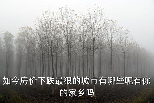如今房?jī)r(jià)下跌最狠的城市有哪些呢有你的家鄉(xiāng)嗎