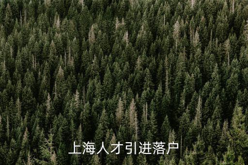 上海人才引進落戶