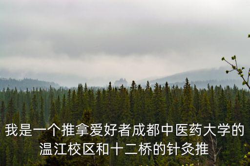 我是一個(gè)推拿愛(ài)好者成都中醫(yī)藥大學(xué)的溫江校區(qū)和十二橋的針灸推