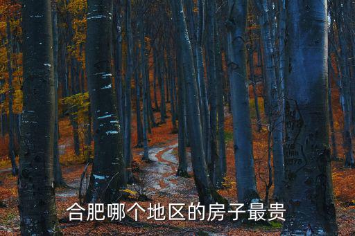 合肥哪個地區的房子最貴