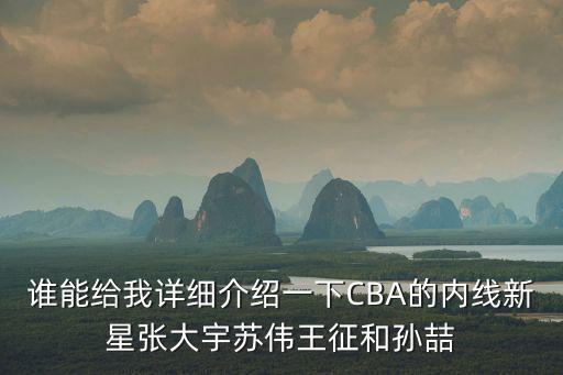 誰能給我詳細介紹一下CBA的內線新星張大宇蘇偉王征和孫喆