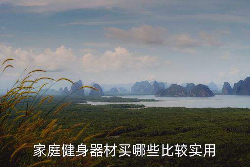 家庭健身器材買哪些比較實用