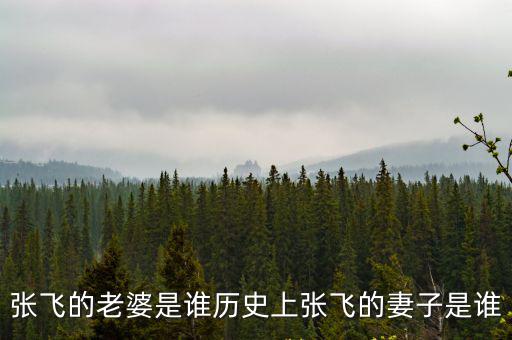 張飛的老婆是誰歷史上張飛的妻子是誰