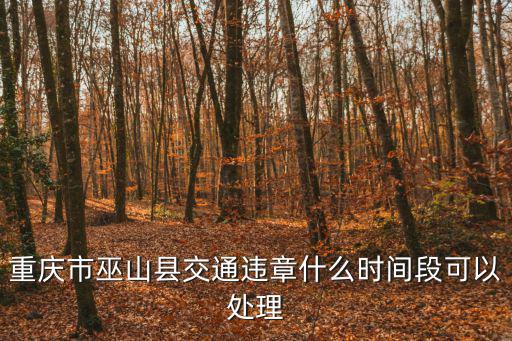 重慶市巫山縣交通違章什么時間段可以處理