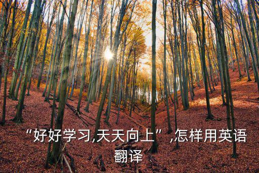 “好好學習,天天向上”,怎樣用英語翻譯