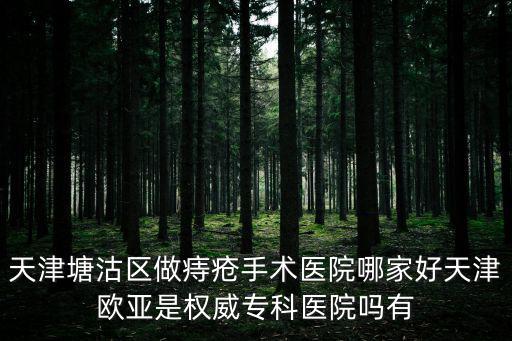 天津市塘沽王文強，談德武是他殺嗎