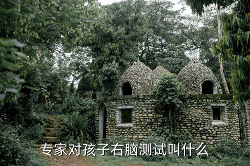 專家對孩子右腦測試叫什么