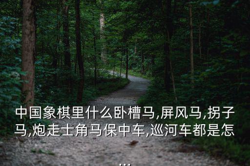 中國象棋里什么臥槽馬,屏風馬,拐子馬,炮走士角馬保中車,巡河車都是怎...