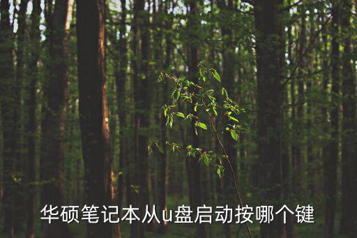 華碩筆記本u盤啟動快捷鍵,華碩筆記本怎么進入u盤啟動項?