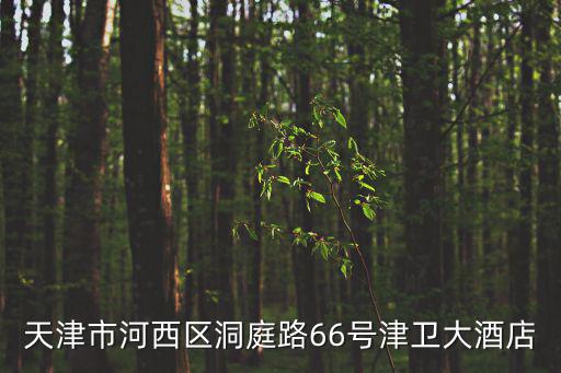天津市河西區洞庭路66號津衛大酒店