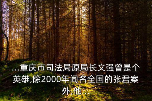 ...重慶市司法局原局長文強(qiáng)曾是個英雄,除2000年聞名全國的張君案外,他...