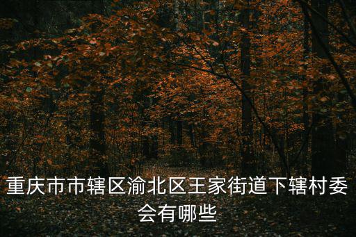 重慶市市轄區渝北區王家街道下轄村委會有哪些