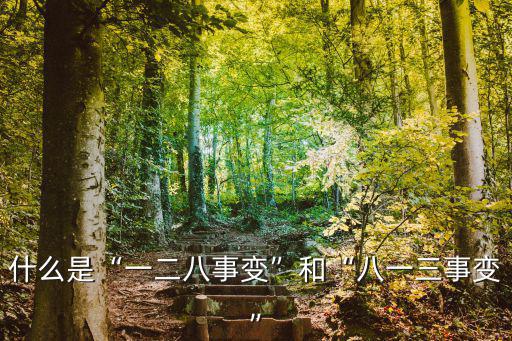 上海事變,一·二八事變是指1937年上海制造的軍事事變