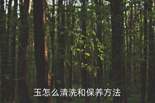 玉怎么清洗和保養(yǎng)方法