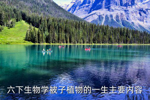 六下生物學被子植物的一生主要內容