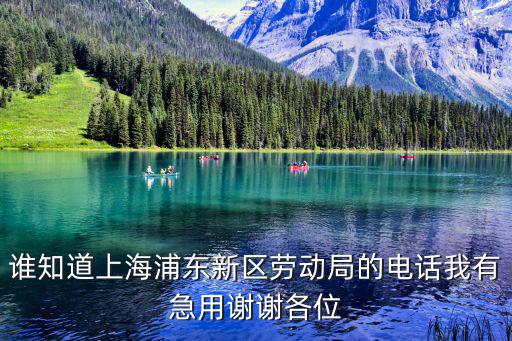 誰知道上海浦東新區(qū)勞動局的電話我有急用謝謝各位