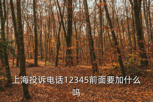 上海市政府投訴中心，上海市長熱線