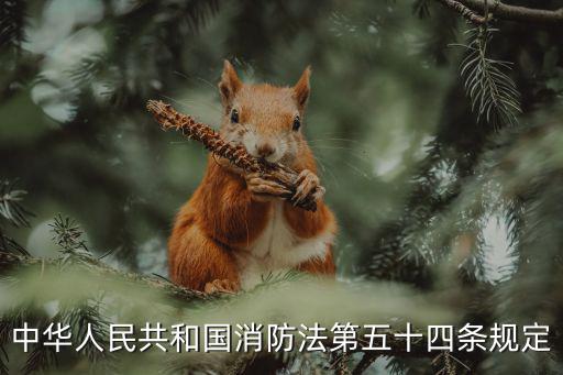中華人民共和國消防法第五十四條規(guī)定