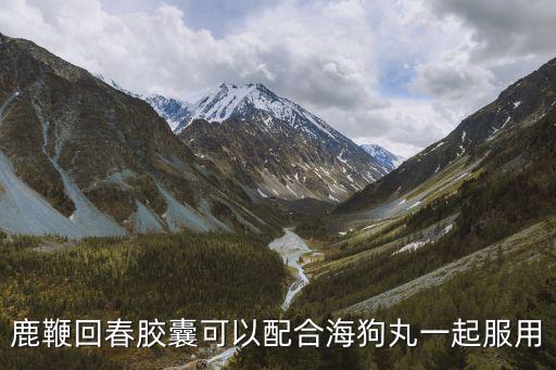 鹿鞭回春膠囊可以配合海狗丸一起服用