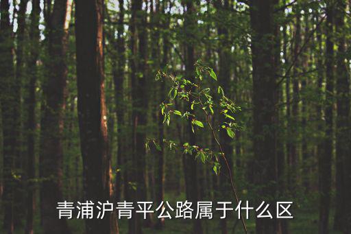 青浦滬青平公路屬于什么區