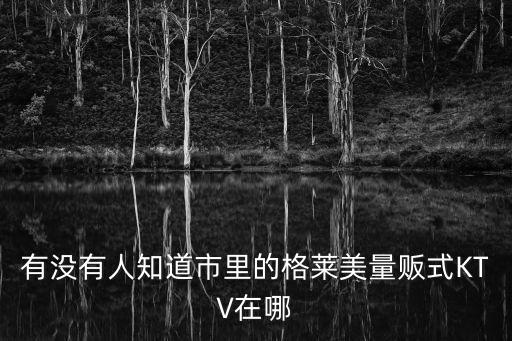 有沒有人知道市里的格萊美量販式KTV在哪