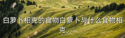 白蘿卜相克的食物白蘿卜與什么食物相克