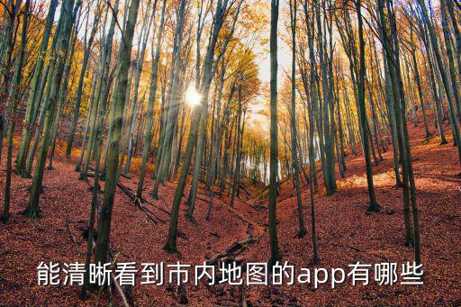 能清晰看到市內地圖的app有哪些