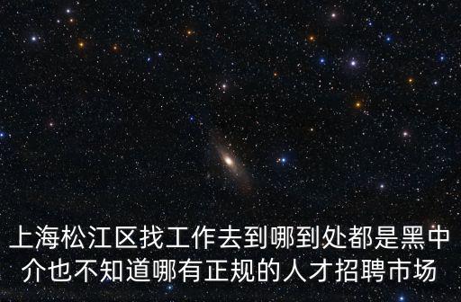 松江第一人才招聘網，上海松江區找工作去到哪到處都是黑中介也不知道哪有正規的人才招聘市場