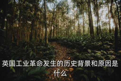英國工業革命發生的歷史背景和原因是什么
