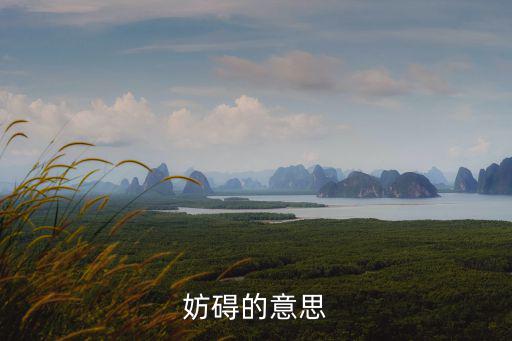 妨礙近義詞,從錯誤中學習:妨礙的意思有哪些?