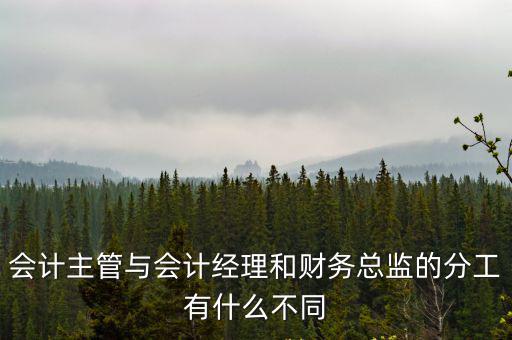 會計經理,會計主管與經理其實是一樣的,是對公司總經理負責的