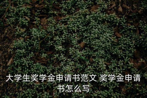 大學(xué)生獎學(xué)金申請書范文 獎學(xué)金申請書怎么寫