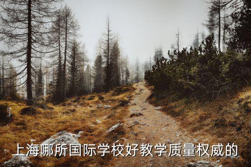 上海國際學校排名一覽表 非廣告，上海哪所國際學校好教學質量權威的