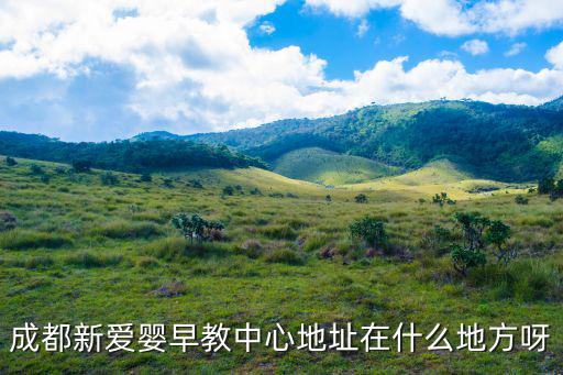成都新愛嬰早教中心地址在什么地方呀