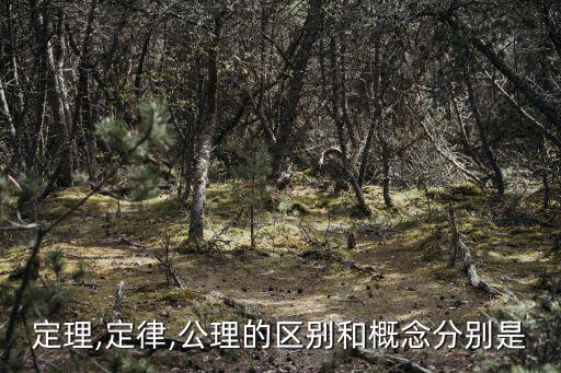 定理,從現在起需要關注哪些重點?