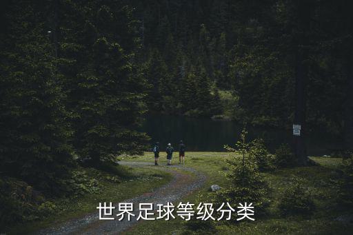 世界足球,世界足球按影響力、關注度和國際賽事分類如下