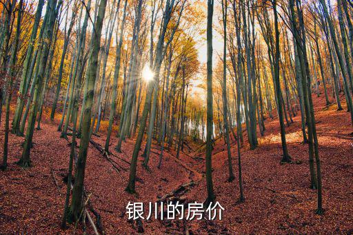 銀川的房價