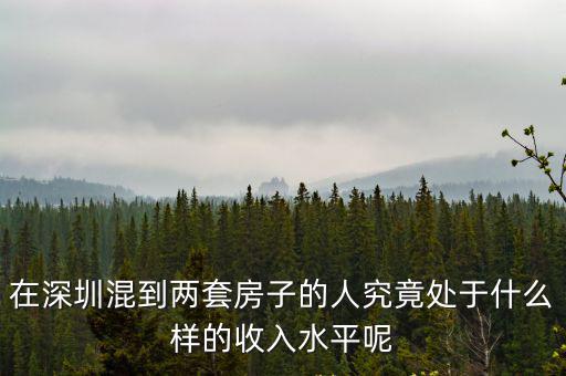 在深圳混到兩套房子的人究竟處于什么樣的收入水平呢