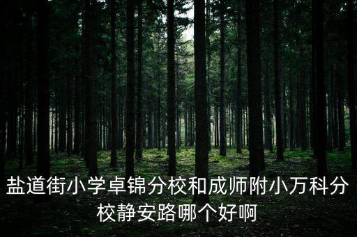 鹽道街小學卓錦分校和成師附小萬科分校靜安路哪個好啊