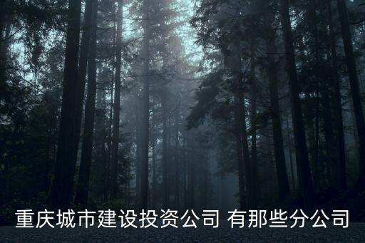 重慶市綜體建設(shè)，重慶市區(qū)內(nèi)有沒有國(guó)營(yíng)房地產(chǎn)公司