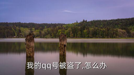 我的qq號被盜了,怎么辦