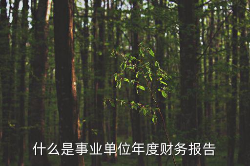什么是事業單位年度財務報告