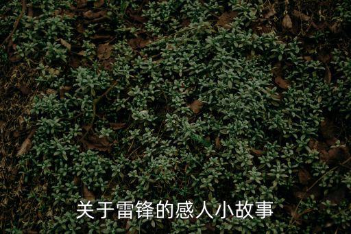 關于雷鋒的故事,從雷鋒身上學到雷鋒精神