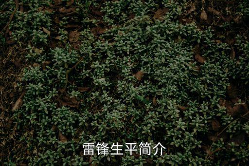雷鋒生平簡介