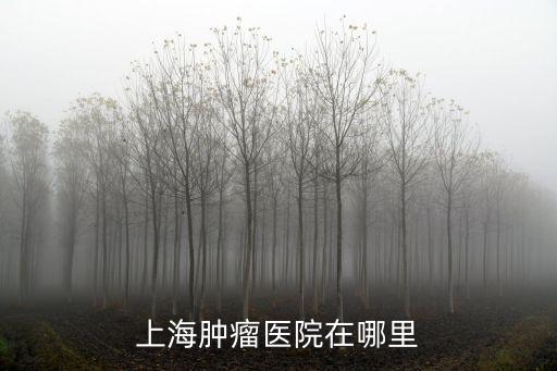 上海腫瘤醫(yī)院在哪里