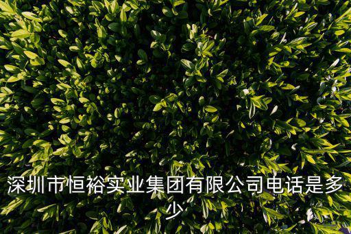 深圳市恒裕實業(yè)集團有限公司電話是多少
