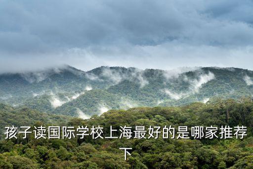 上海排名前三的國際學校，上海哪家國際學校好啊能夠讓孩子將來上世界名校的