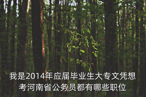 2022年河南省國(guó)考職位表，我是2014年應(yīng)屆畢業(yè)生大專文憑想考河南省公務(wù)員都有哪些職位